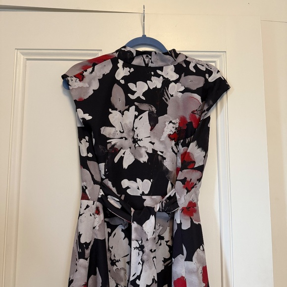 Hobbs London Delphine Printed Dress - Picture 5 of 6